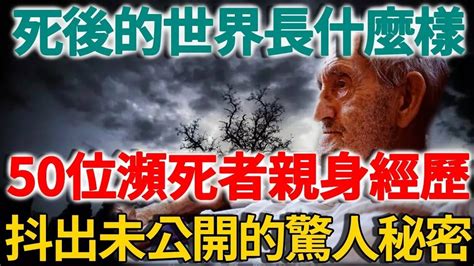 狗狗死後的世界|[心得] 狗狗死後會去哪裡